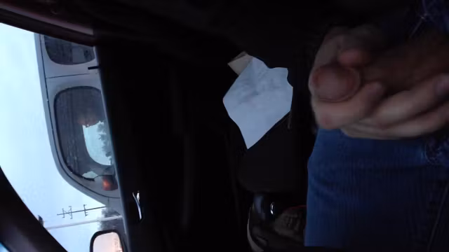 Car Dickflash