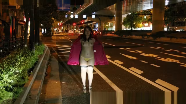 Japanese chubby girl public flashing slide show4