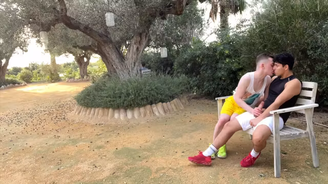 The Hidden Adventures Of Daily Workouts