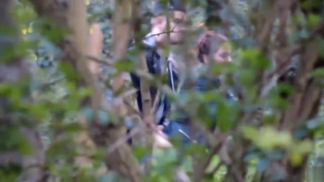University students 18+ caught copulating in the bushes
