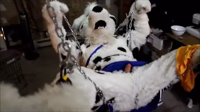Fursuit sex 113