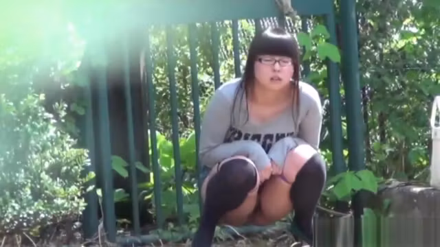 Japanese ho spied peeing