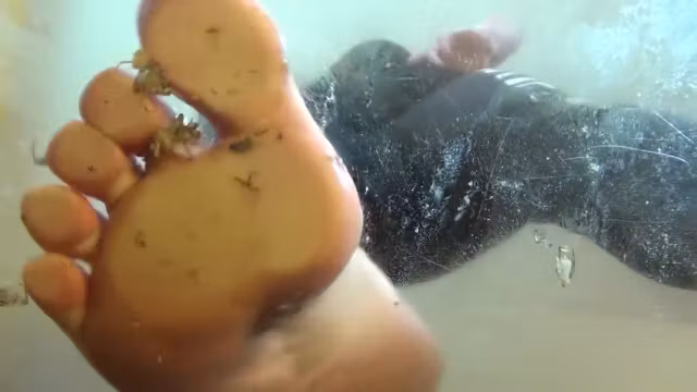 Hard crush before sex