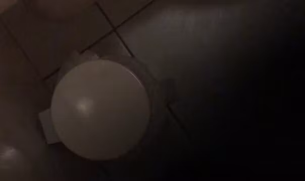 Step sister in law spy wc