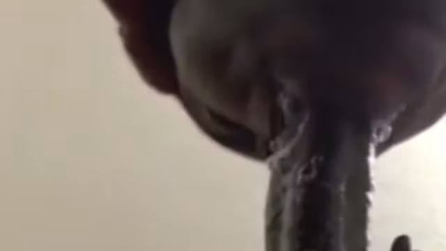 Close Up Super Hot Super Sloppy Deepthroat Blowjob,cum In Mouth