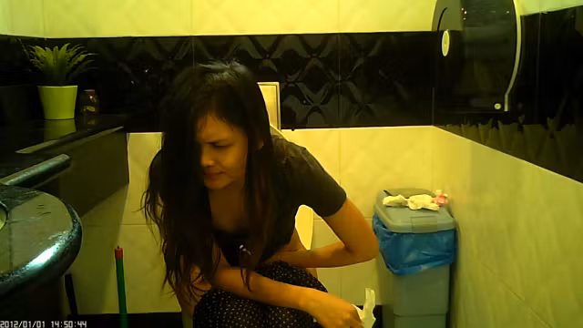 Asian Toilet