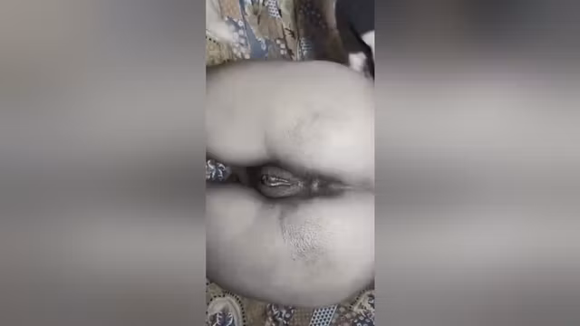 Local Village Sex With Girlfriend Sex Xxx Ass