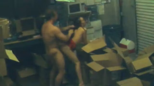 security cam chronicles 5 scene 3