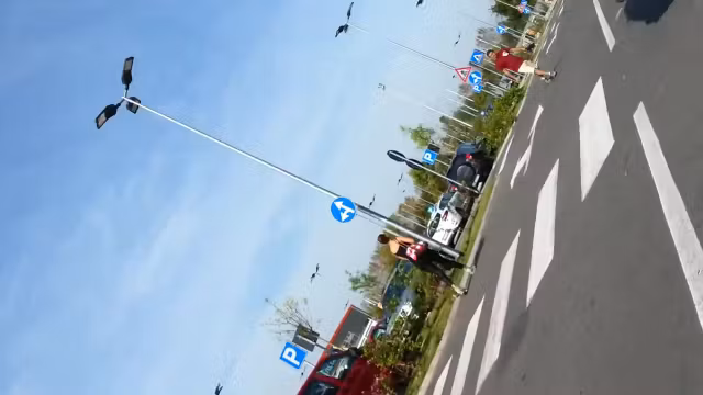 vedo nero