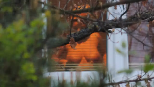 Window Spy