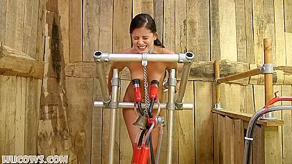 Little Caprice - Pumped Hard
