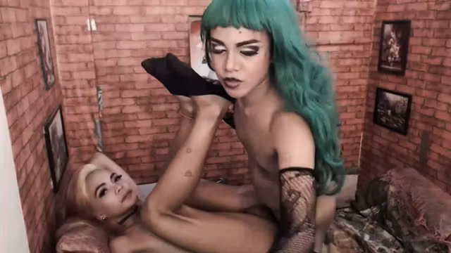 Two Shemales In A Sexy Playtime