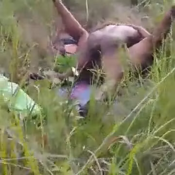 Caught Fucking In The Bush