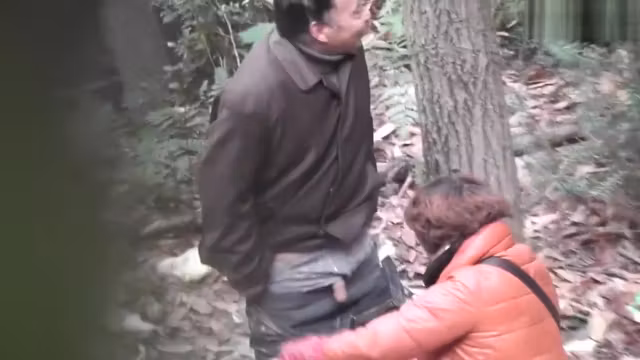 Chinese Step daddy Forest 33