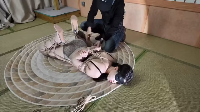 Excellent Sex Video Gags Newest Show